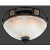 Trio 6081 lampa sufitowa Rdzawy, 2-punktowe
