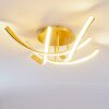Lampa Sufitowa Aranu LED Złoty, 4-punktowe