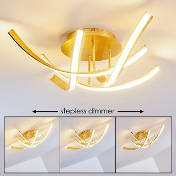 Lampa Sufitowa Aranu LED Złoty, 4-punktowe