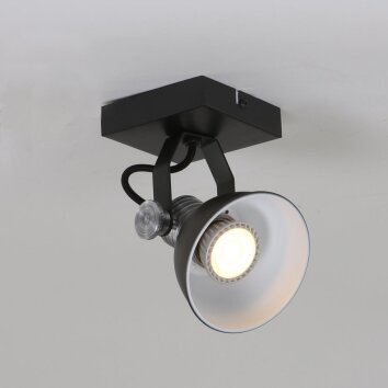 Steinhauer BROOKLY reflektor LED Czarny, 1-punktowy
