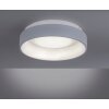 Leuchten-Direkt DANTE Lampa Sufitowa LED Szary, 1-punktowy, Zdalne sterowanie