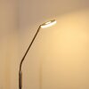 Gulkana Lampa Stojąca LED Nikiel matowy, 1-punktowy, Zmieniacz kolorów