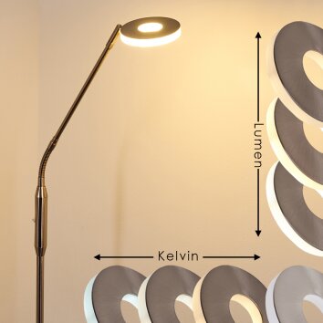 Gulkana Lampa Stojąca LED Nikiel matowy, 1-punktowy, Zmieniacz kolorów