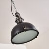 Lampa Wisząca Ilvy LED Czarny, 1-punktowy