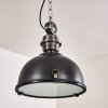 Lampa Wisząca Ilvy LED Czarny, 1-punktowy