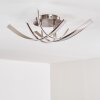 Lampa Sufitowa Aranu LED Nikiel matowy, 4-punktowe