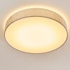 Tallaboa Lampa Sufitowa LED Srebrny, 1-punktowy, Zdalne sterowanie