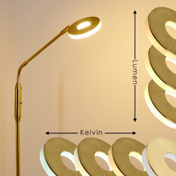 Gulkana Lampa Stojąca LED Złoty, 1-punktowy