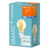 LEDVANCE SMART+ LED E27 5,5 Watt 2500 Kelvin 600 Lumen