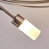 Gordola Lampa Sufitowa LED stal szczotkowana, 6-punktowe