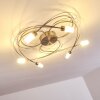 Gordola Lampa Sufitowa LED stal szczotkowana, 6-punktowe