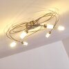 Gordola Lampa Sufitowa LED stal szczotkowana, 6-punktowe