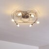 Gordola Lampa Sufitowa LED stal szczotkowana, 6-punktowe