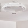 Rufi Lampa Sufitowa LED Biały, 1-punktowy, Zdalne sterowanie