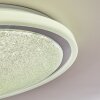 Rufi Lampa Sufitowa LED Biały, 1-punktowy, Zdalne sterowanie