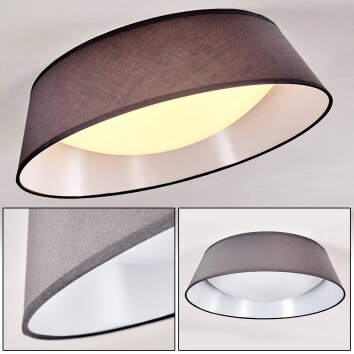 Negio Lampa Sufitowa LED Szary, Biały, 1-punktowy