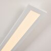 Ailik Lampa Sufitowa LED Biały, 1-punktowy, Zdalne sterowanie