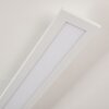 Ailik Lampa Sufitowa LED Biały, 1-punktowy, Zdalne sterowanie