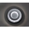 Paul Neuhaus NEVIS Lampa Sufitowa LED Srebrny, 1-punktowy