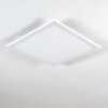 Salmi Lampa Sufitowa LED Biały, 1-punktowy