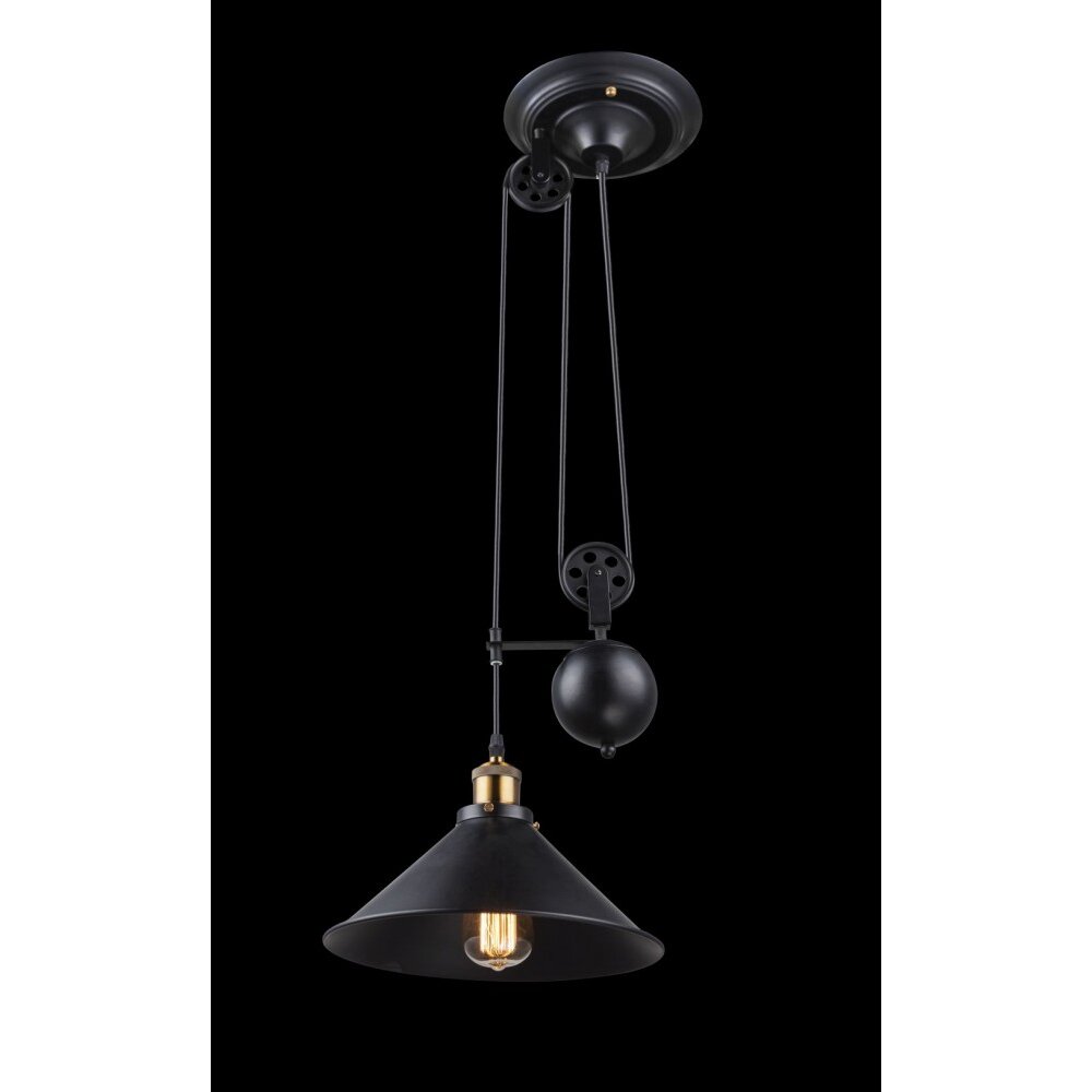 Globo Lampa wisząca Czarny, 1-punktowy main product photo
