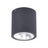 Paul Neuhaus GEORG Lampa Sufitowa LED Antracytowy, 1-punktowy