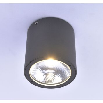 Paul Neuhaus GEORG Lampa Sufitowa LED Antracytowy, 1-punktowy