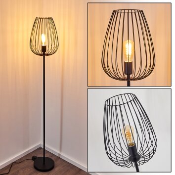 Luano Lampa Stojąca Czarny, 1-punktowy