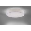 Paul Neuhaus Q-KIARA Lampa Sufitowa LED Biały, 1-punktowy, Zdalne sterowanie