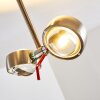 Florenz lampa sufitowa LED Nikiel matowy, 2-punktowe