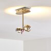 Florenz lampa sufitowa LED Nikiel matowy, 2-punktowe