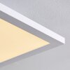 Bankura Lampa Sufitowa LED Biały, 1-punktowy, Zdalne sterowanie, Zmieniacz kolorów