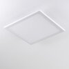 Bankura Lampa Sufitowa LED Biały, 1-punktowy, Zdalne sterowanie, Zmieniacz kolorów