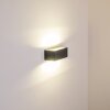 GEMINI Zewnętrzny kinkiet LED Antracytowy, 1-punktowy