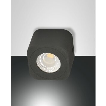 Fabas Luce Palmi Lampa Sufitowa LED Antracytowy, 1-punktowy