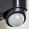 Zewnętrzny kinkiet Larvik LED Antracytowy, 1-punktowy, Czujnik ruchu