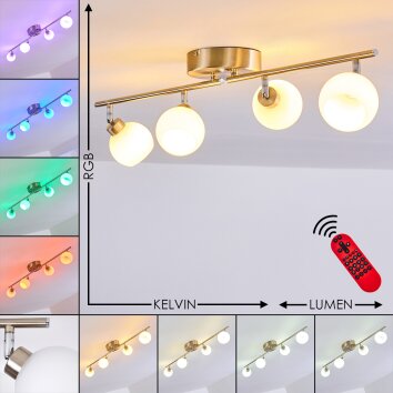 Motala Lampa Sufitowa LED Nikiel matowy, 4-punktowe, Zdalne sterowanie, Zmieniacz kolorów