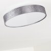 Liared Lampa Sufitowa LED Nikiel matowy, 1-punktowy