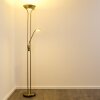 Rom lampa stojąca oświetlająca sufit LED Stary mosiądz, 2-punktowe