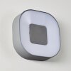 Zewnętrzny kinkiet Feldsted LED Srebrny, 1-punktowy