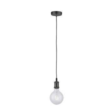 Leuchten Direkt DIY Lampa Wisząca Czarny, 1-punktowy