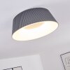 Fremont Lampa Sufitowa LED Szary, 1-punktowy