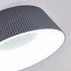 Fremont Lampa Sufitowa LED Szary, 1-punktowy