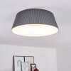 Fremont Lampa Sufitowa LED Szary, 1-punktowy