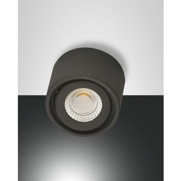 Fabas Luce Anzio Lampa Sufitowa LED Antracytowy, 1-punktowy