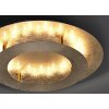 Paul Neuhaus NEVIS Lampa Sufitowa LED Złoty, 1-punktowy