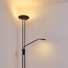 Abiqua Lampa Stojąca LED Czarny, 2-punktowe