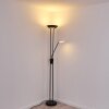 Abiqua Lampa Stojąca LED Czarny, 2-punktowe