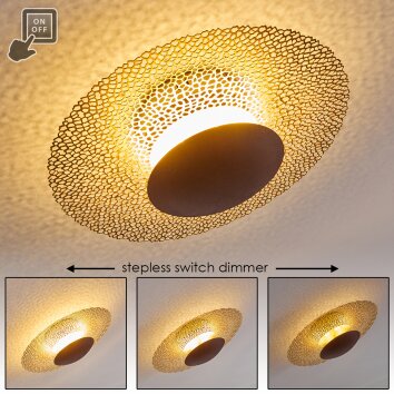 Sunrise Lampa Sufitowa LED Złoty, Rdzawy, 1-punktowy