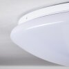 Brighton Lampa Sufitowa LED Biały, 1-punktowy, Zdalne sterowanie, Zmieniacz kolorów